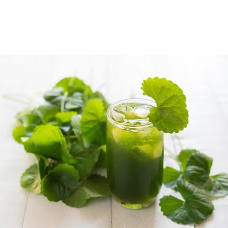 (HỘ KINH DOANH) PHAN KIM TUYỀN